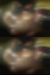 Vancouver nude mature