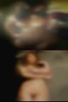Swingers Fort Myers area
