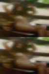 Swinging hairy pussy